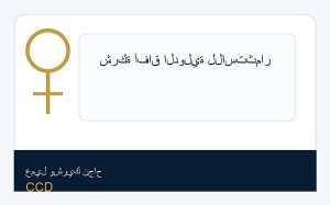 شركة آفاق الدولية للاستثمار