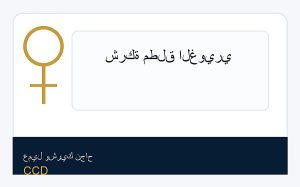 شركة مطلق الغويري